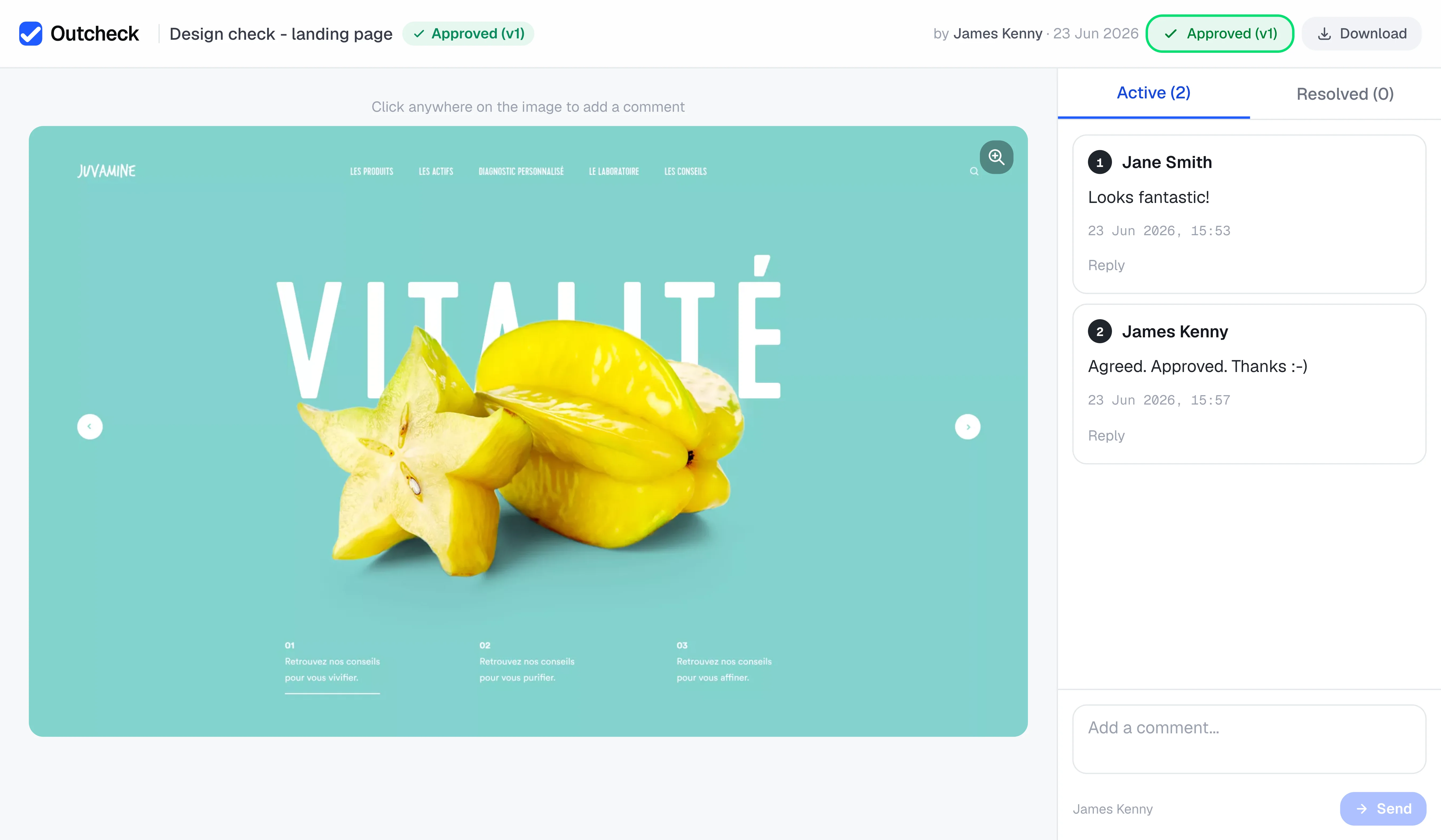 Outcheck review page — client approving brand assets